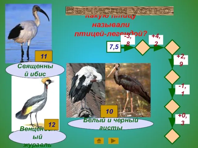 Какую птицу называли птицей-легендой? Венценосный журавль 7,5 -3,8 +4,2 -1,1 +2,9 +0,3 12 Вычисли устно.
