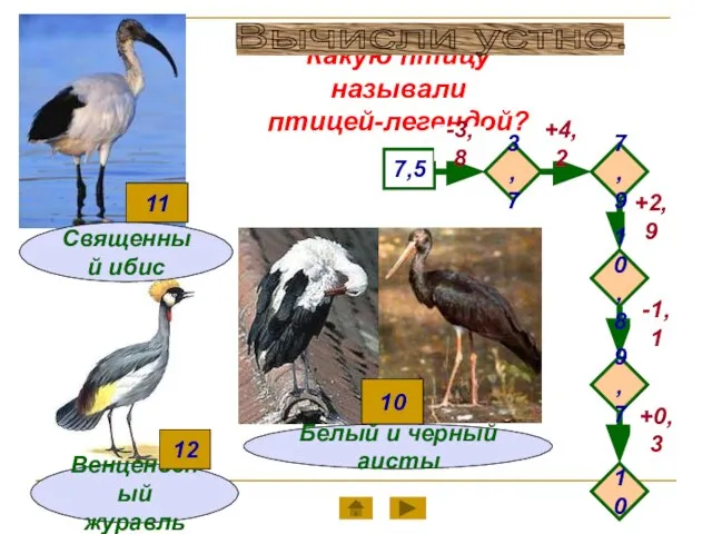 Какую птицу называли птицей-легендой? Венценосный журавль 7,5 -3,8 +4,2 -1,1 +2,9 +0,3