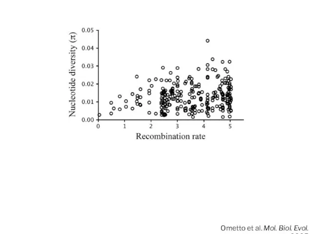 Ometto et al. Mol. Biol. Evol. 2005