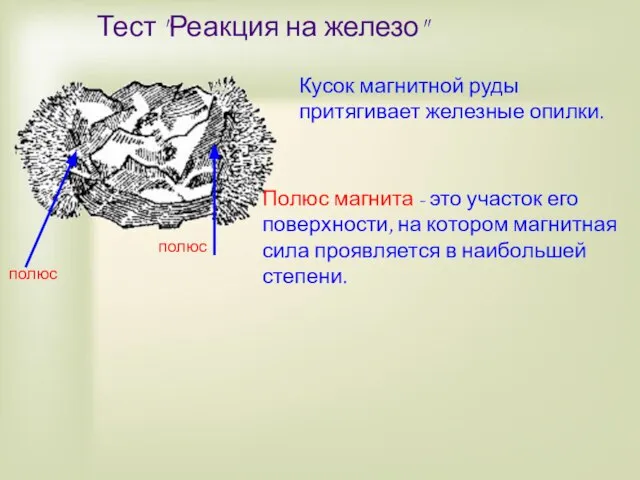 Тест "Реакция на железо" Кусок магнитной руды притягивает железные опилки. полюс полюс