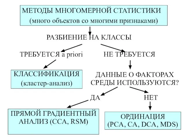 МЕТОДЫ МНОГОМЕРНОЙ СТАТИСТИКИ (много объектов со многими признаками)