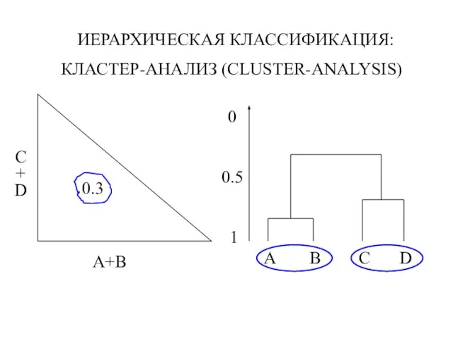 ИЕРАРХИЧЕСКАЯ КЛАССИФИКАЦИЯ: КЛАСТЕР-АНАЛИЗ (CLUSTER-ANALYSIS)