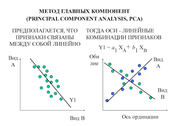 МЕТОД ГЛАВНЫХ КОМПОНЕНТ (PRINCIPAL COMPONENT ANALYSIS, PCA)