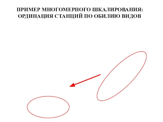 ПРИМЕР МНОГОМЕРНОГО ШКАЛИРОВАНИЯ: ОРДИНАЦИЯ СТАНЦИЙ ПО ОБИЛИЮ ВИДОВ