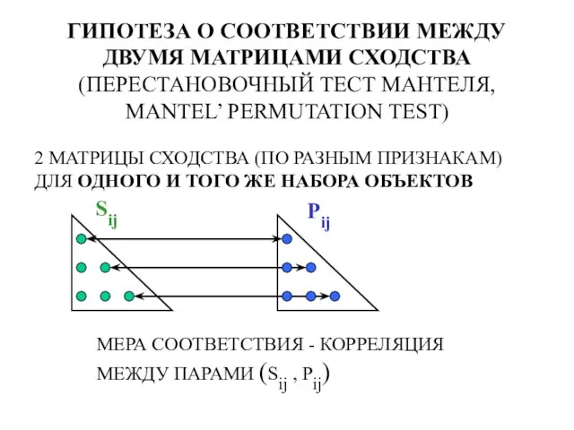 ГИПОТЕЗА О СООТВЕТСТВИИ МЕЖДУ ДВУМЯ МАТРИЦАМИ СХОДСТВА (ПЕРЕСТАНОВОЧНЫЙ ТЕСТ МАНТЕЛЯ, MANTEL’ PERMUTATION