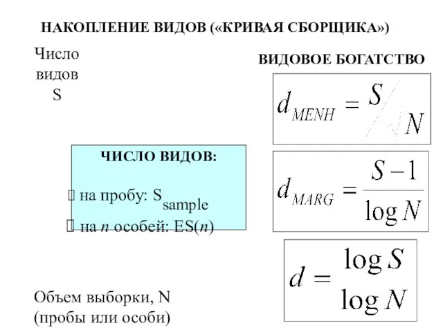 НАКОПЛЕНИЕ ВИДОВ («КРИВАЯ СБОРЩИКА») ВИДОВОЕ БОГАТСТВО ЧИСЛО ВИДОВ: на пробу: Ssample на n особей: ES(n)