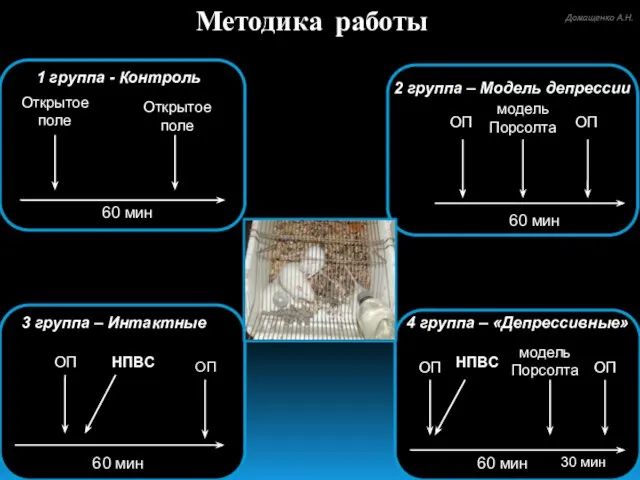 3 группа – Интактные ОП ОП НПВС 60 мин Методика работы 60