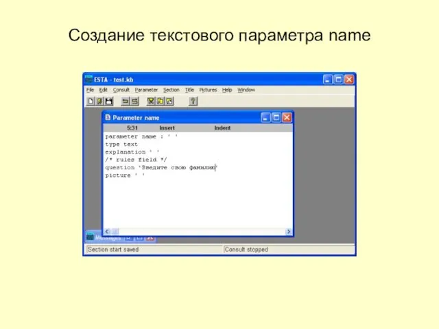 Создание текстового параметра name