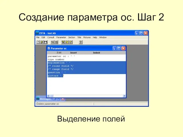 Создание параметра oc. Шаг 2 Выделение полей