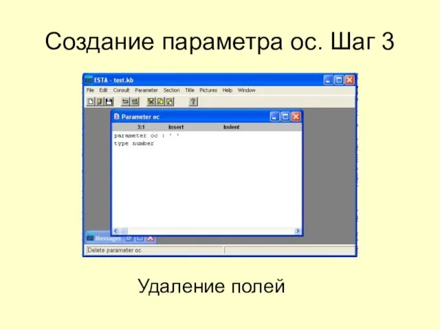 Создание параметра oc. Шаг 3 Удаление полей