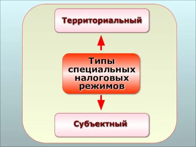 49 Типы специальных налоговых режимов Территориальный Субъектный