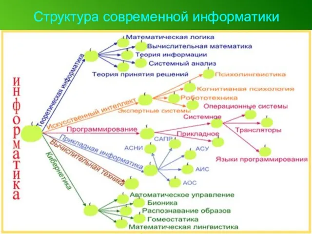 Структура современной информатики