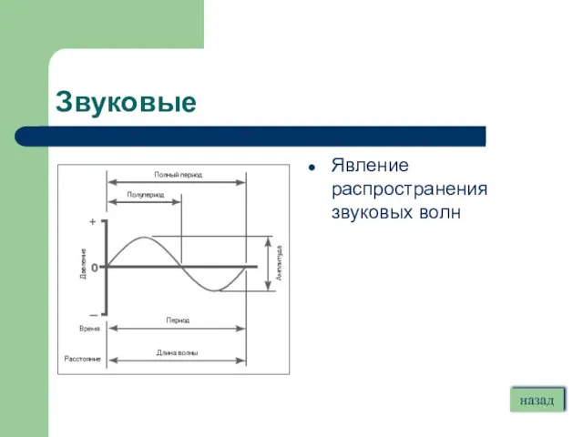 Звуковые Явление распространения звуковых волн назад