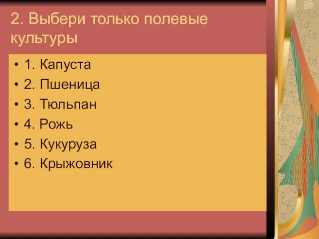 2. Выбери только полевые культуры 1. Капуста 2. Пшеница 3. Тюльпан 4.