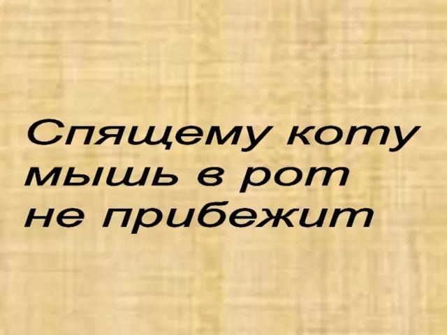 Спящему коту мышь в рот не прибежит