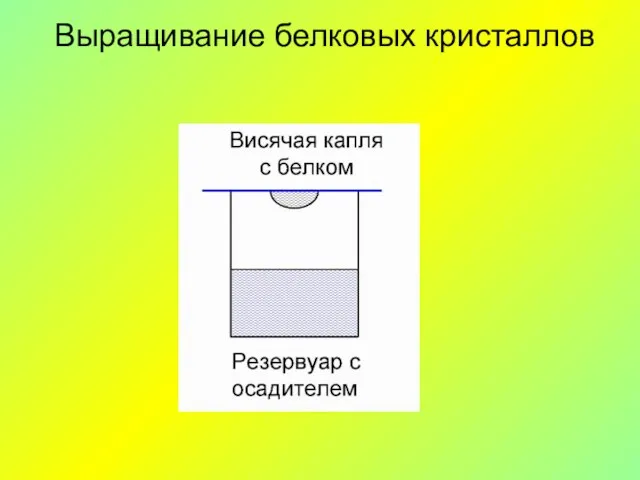 Выращивание белковых кристаллов