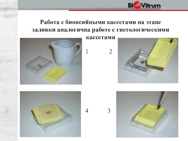 Работа с биопсийными кассетами на этапе заливки аналогична работе с гистологическими кассетами 2 3 1 4