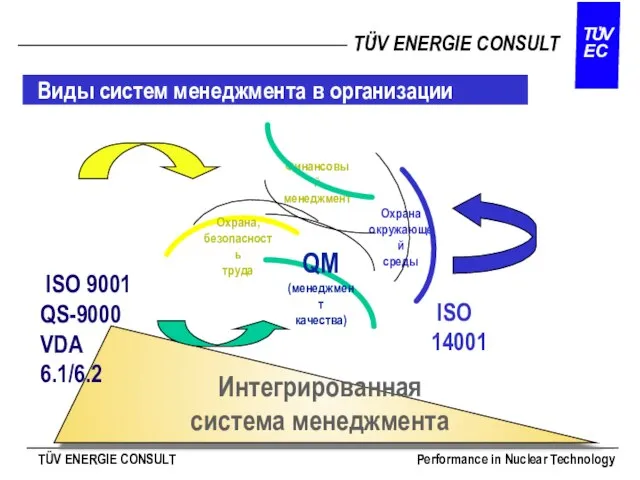 Виды систем менеджмента в организации