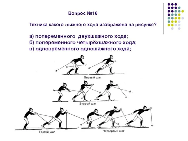 Вопрос №16 Техника какого лыжного хода изображена на рисунке? а) попеременного двухшажного