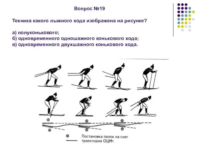 Вопрос №19 Техника какого лыжного хода изображена на рисунке? а) полуконькового; б)