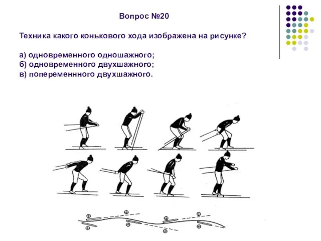 Вопрос №20 Техника какого конькового хода изображена на рисунке? а) одновременного одношажного;