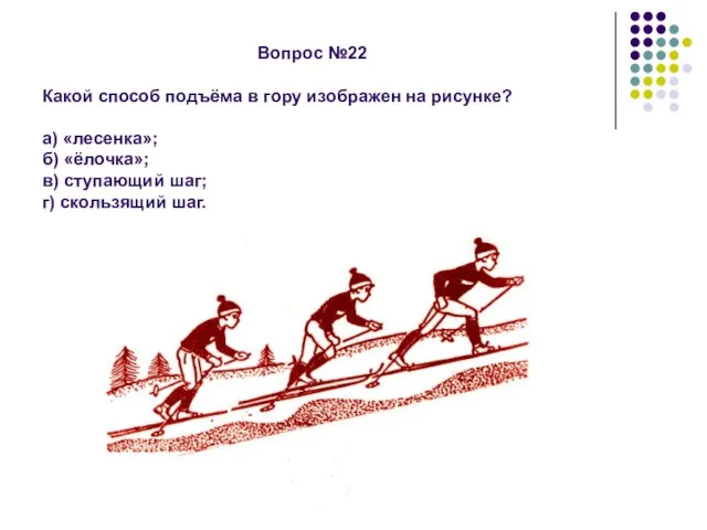 Вопрос №22 Какой способ подъёма в гору изображен на рисунке? а) «лесенка»;