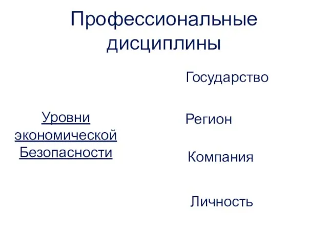 Уровни экономической Безопасности Государство Регион Компания Личность Профессиональные дисциплины