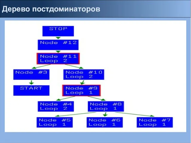 Дерево постдоминаторов