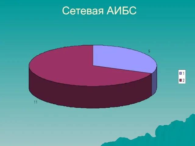 Сетевая АИБС