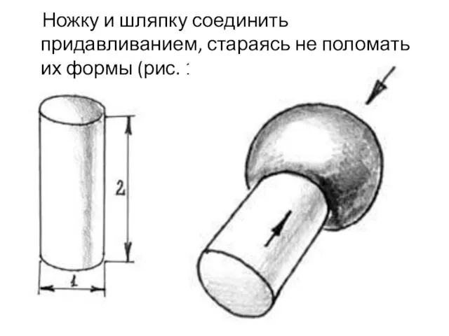 Ножку и шляпку соединить придавливанием, стараясь не поломать их формы (рис. 18г).