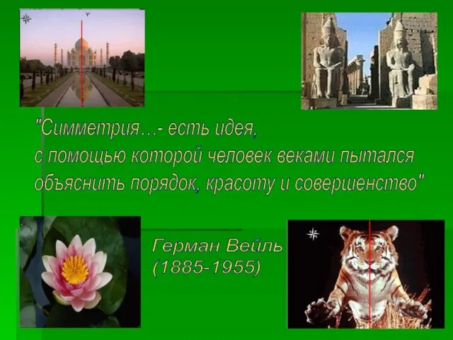 "Симметрия…- есть идея, с помощью которой человек веками пытался объяснить порядок, красоту