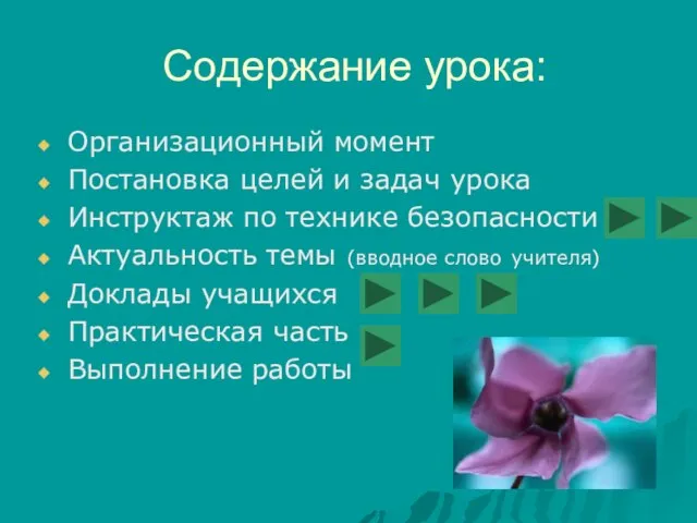 Содержание урока: Организационный момент Постановка целей и задач урока Инструктаж по технике