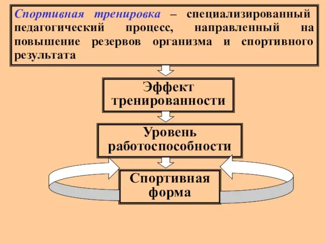 Спортивная тренировка – специализированный педагогический процесс, направленный на повышение резервов организма и