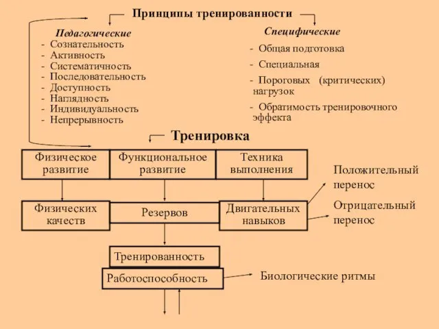 Принципы тренированности Педагогические Сознательность Активность Систематичность Последовательность Доступность Наглядность Индивидуальность Непрерывность Специфические