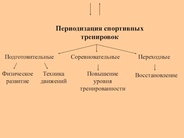 Периодизация спортивных тренировок Подготовительные Соревновательные Переходные Физическое развитие Техника движений Повышение уровня тренированности Восстановление