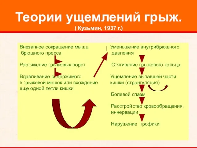 Теории ущемлений грыж. ( Кузьмин, 1937 г.) Внезапное сокращение мышц Уменьшение внутрибрюшного