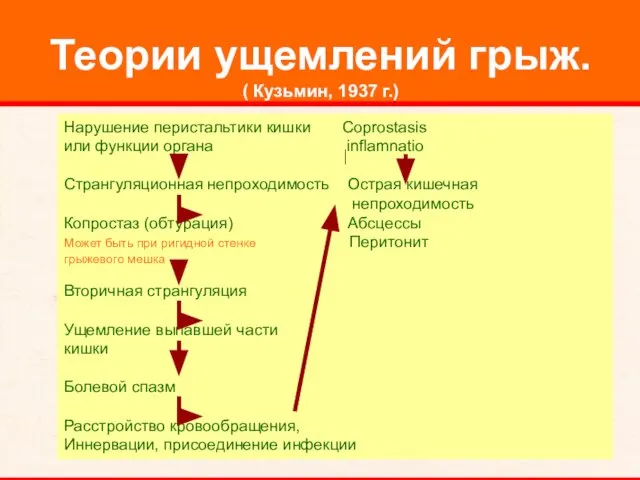 Теории ущемлений грыж. ( Кузьмин, 1937 г.) Нарушение перистальтики кишки Coprostasis или