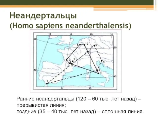 Неандертальцы (Homo sapiens neanderthalensis) Ранние неандертальцы (120 – 60 тыс. лет назад)