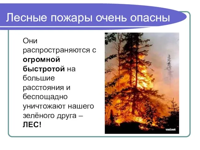 Лесные пожары очень опасны Они распространяются с огромной быстротой на большие расстояния