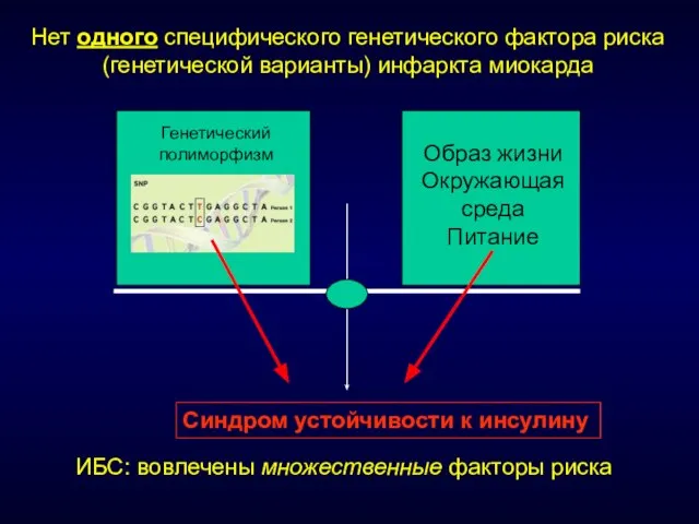 ИБС: вовлечены множественные факторы риска Образ жизни Окружающая среда Питание Генетический полиморфизм