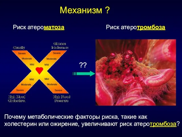 Риск атероматоза Риск атеротромбоза ?? Механизм ? Почему метаболические факторы риска, такие