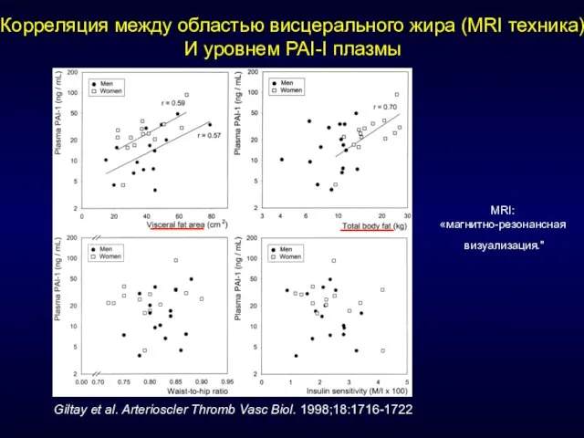 Корреляция между областью висцерального жира (MRI техника) И уровнем PAI-I плазмы Giltay