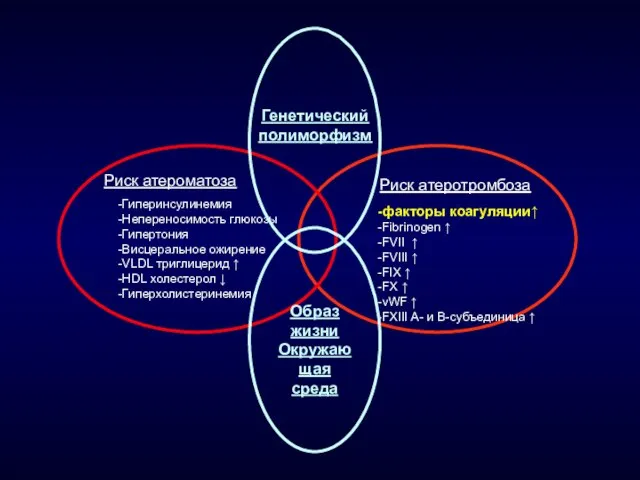 Риск атероматоза Риск атеротромбоза -Гиперинсулинемия -Непереносимость глюкозы -Гипертония -Висцеральное ожирение -VLDL триглицерид