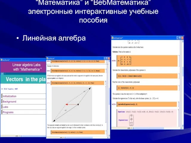 “Математика” и “ВебМатематика” электронные интерактивные учебные пособия Линейная алгебра