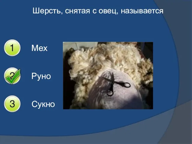 Шерсть, снятая с овец, называется Мех Руно Сукно