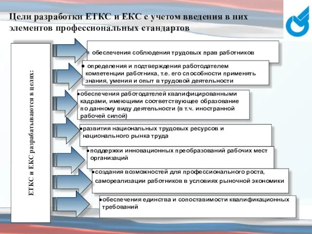 Цели разработки ЕТКС и ЕКС с учетом введения в них элементов профессиональных