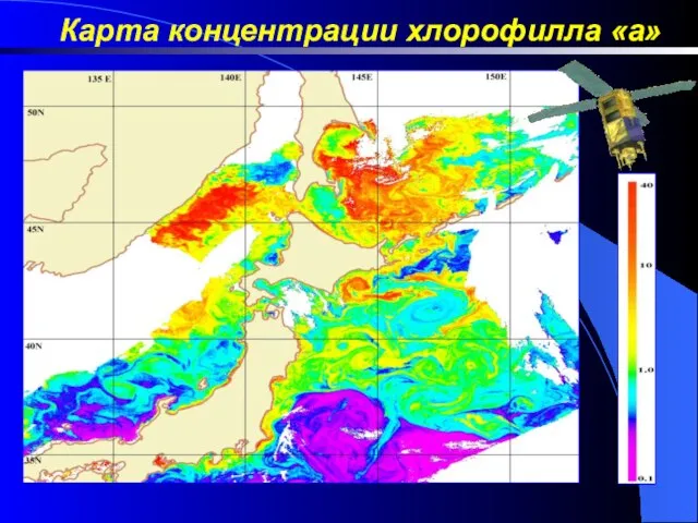 Карта концентрации хлорофилла «а»