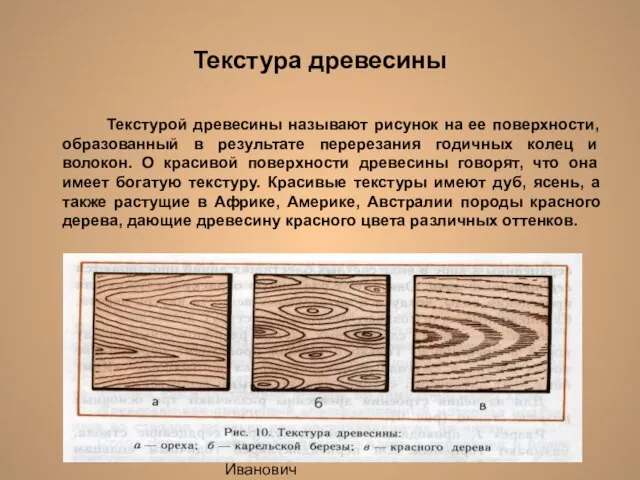 Лешуков Сергей Иванович Текстура древесины Текстурой древесины называют рисунок на ее поверхности,