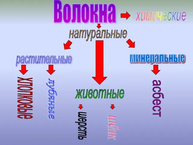 Волокна натуральные растительные минеральные хлопковые лубяные асбест животные шерсть шёлк химические