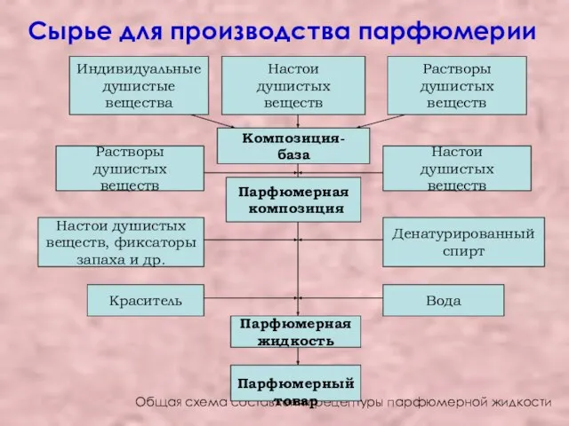 Сырье для производства парфюмерии Общая схема составления рецептуры парфюмерной жидкости Парфюмерный товар